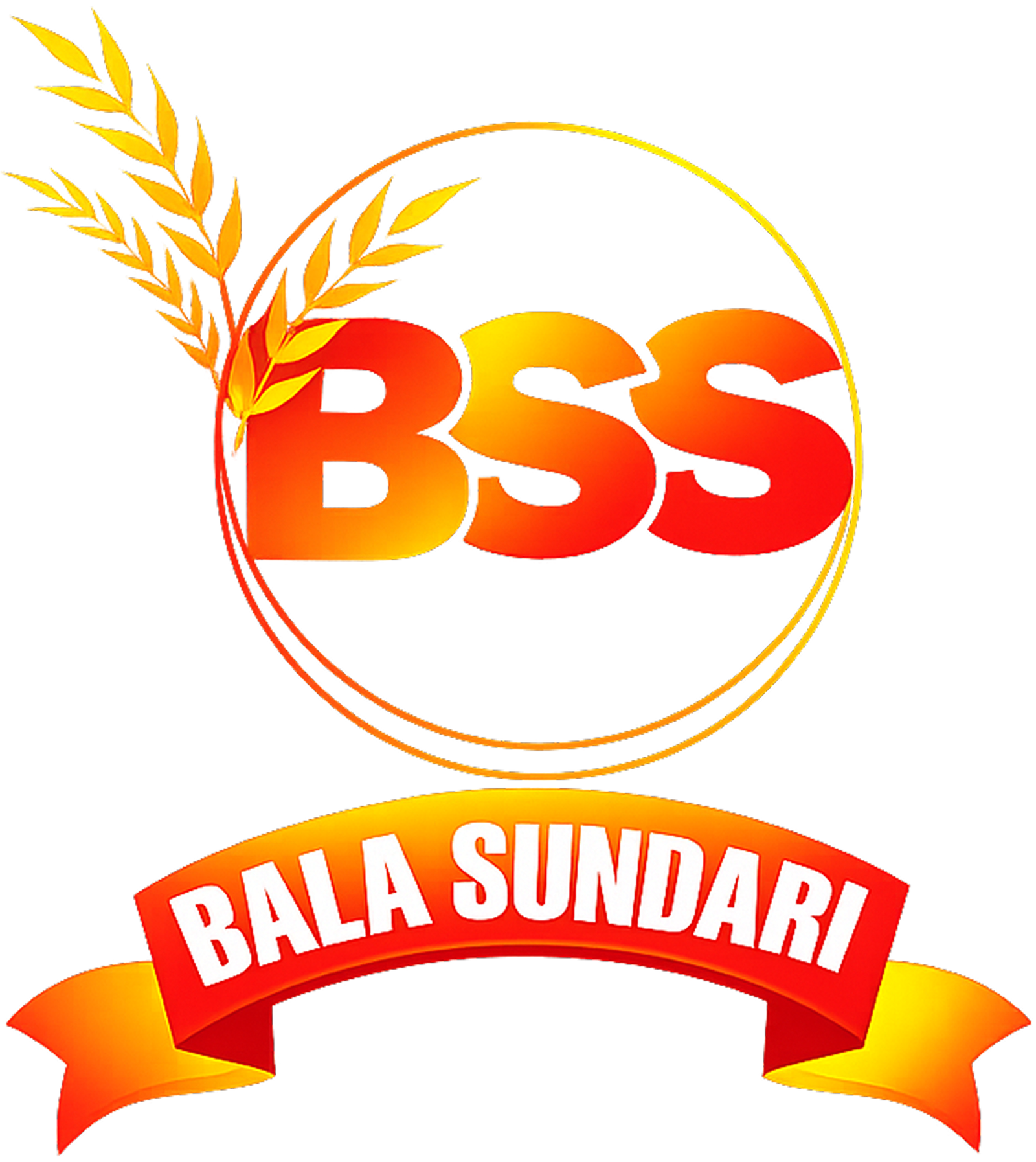 BSS Traders Logo